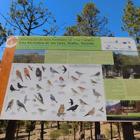 Кемпинг Camping Las Lajas, Tenerife