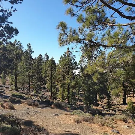 Camping Las Lajas, Tenerife * Вилафлор